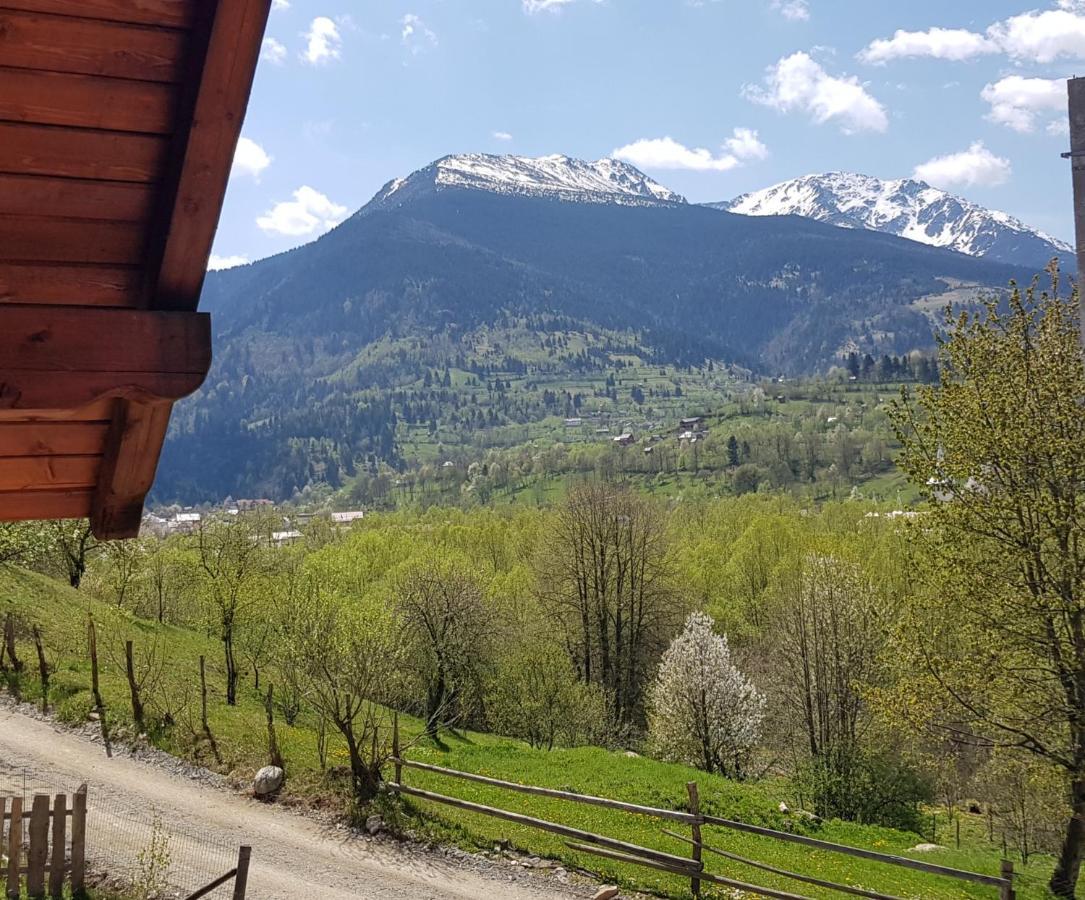 Transylvania House Borsa  Kültér fotó