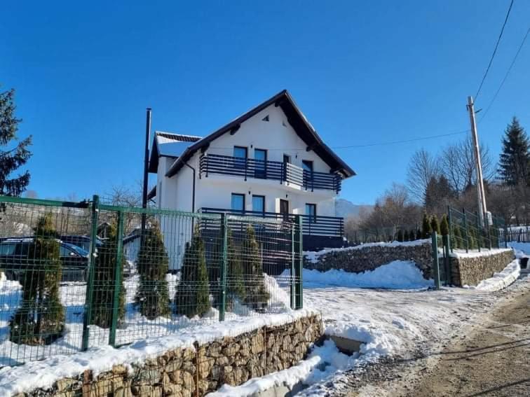 Transylvania House Borsa  Kültér fotó